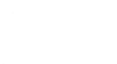 Logo SLF Segundo