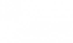 Logo.per.Netlex grande2